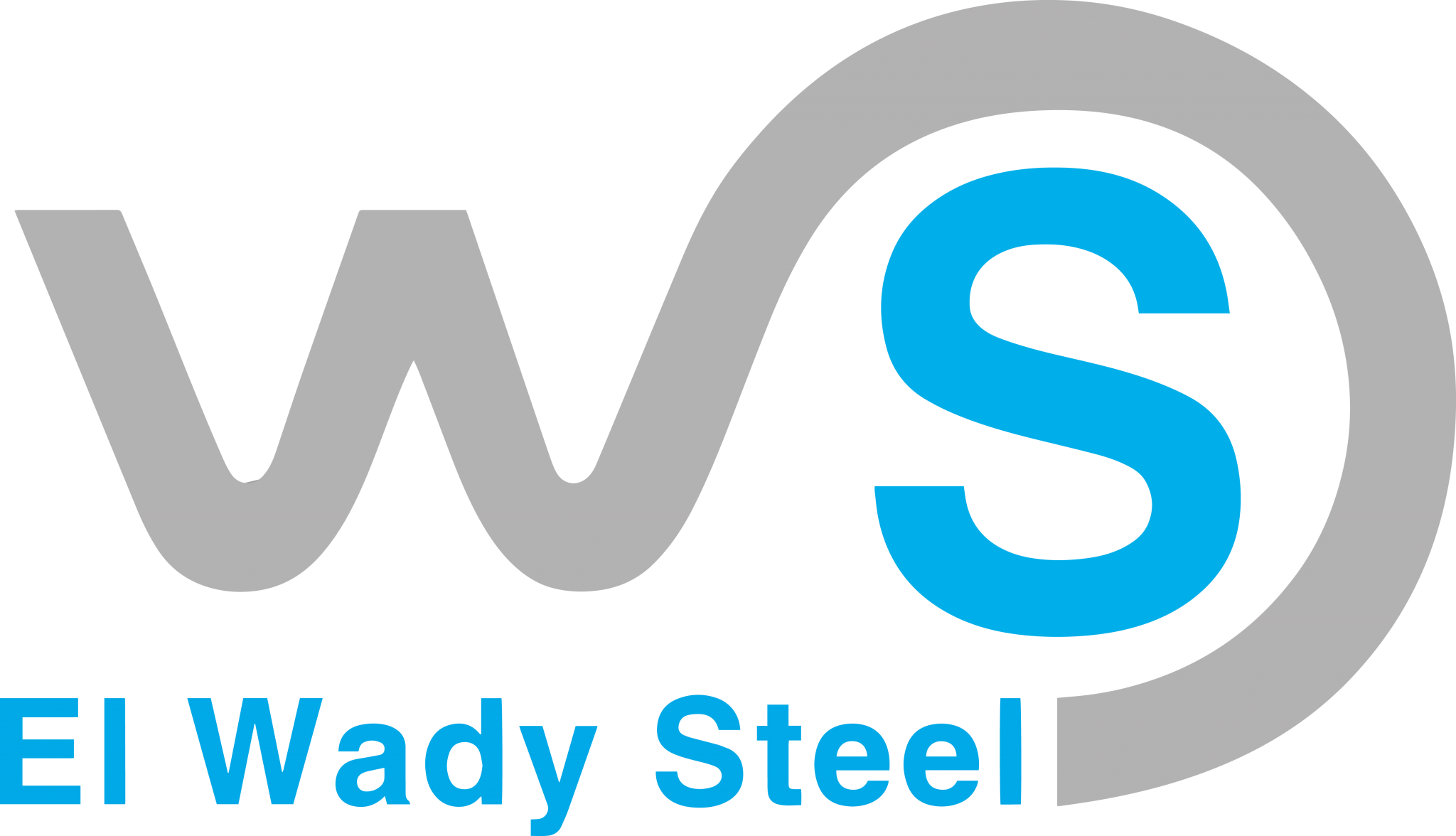 شركة الوادي ستيل - El Wady Steel